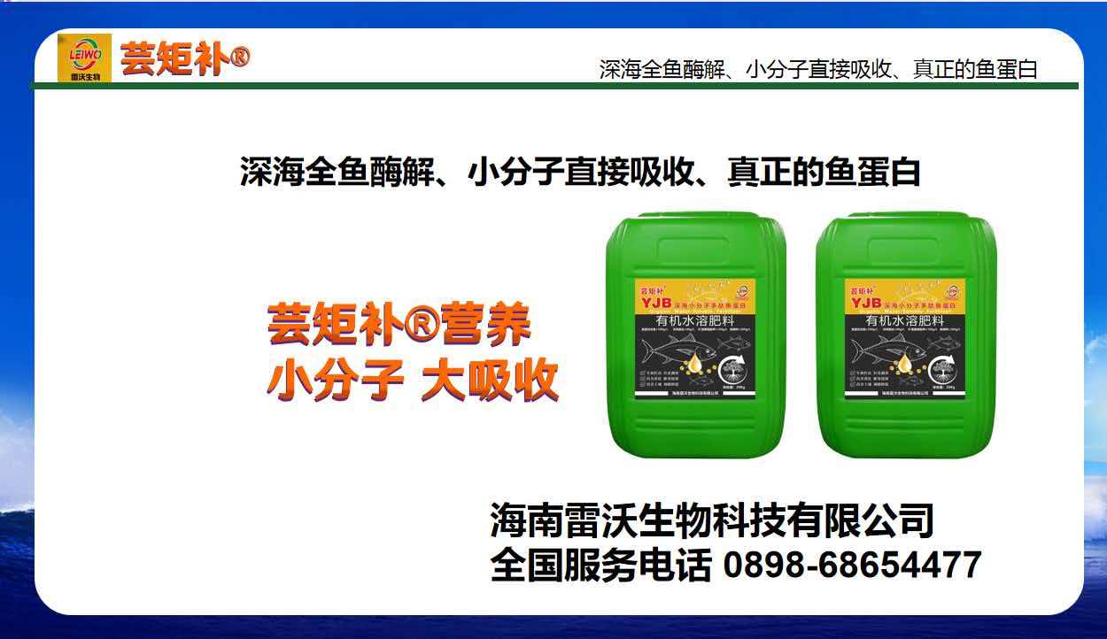 芸矩补鱼蛋白水溶肥
